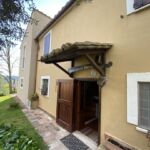 IMG_6878